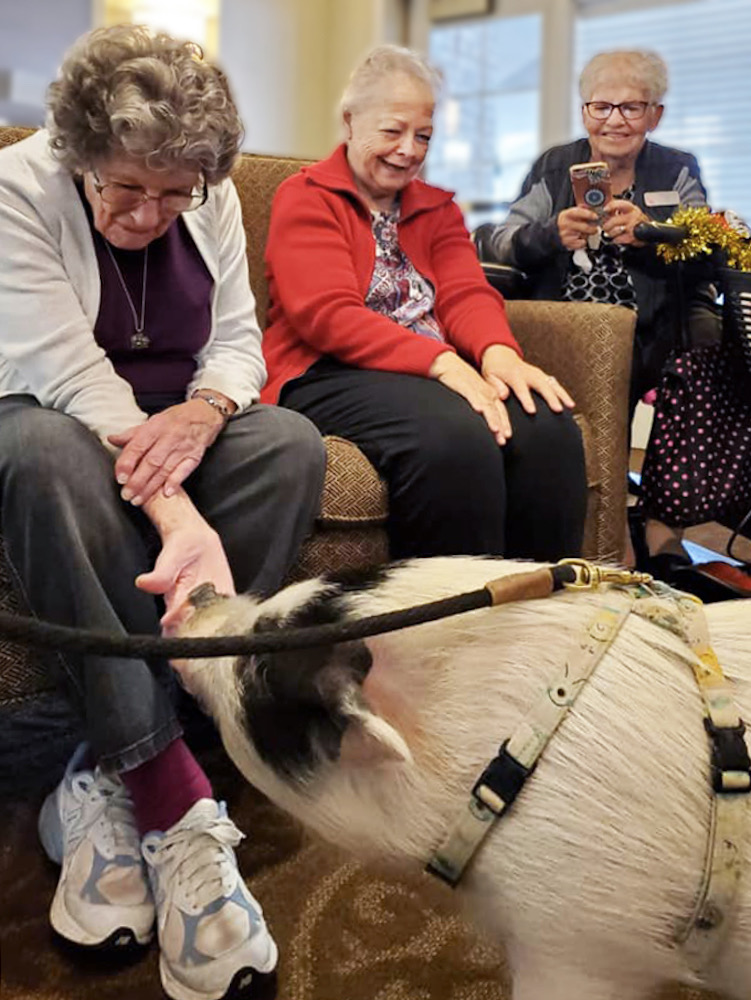 Belleview Suites at DTC | Seniors with Belleview Suites' therapy pig