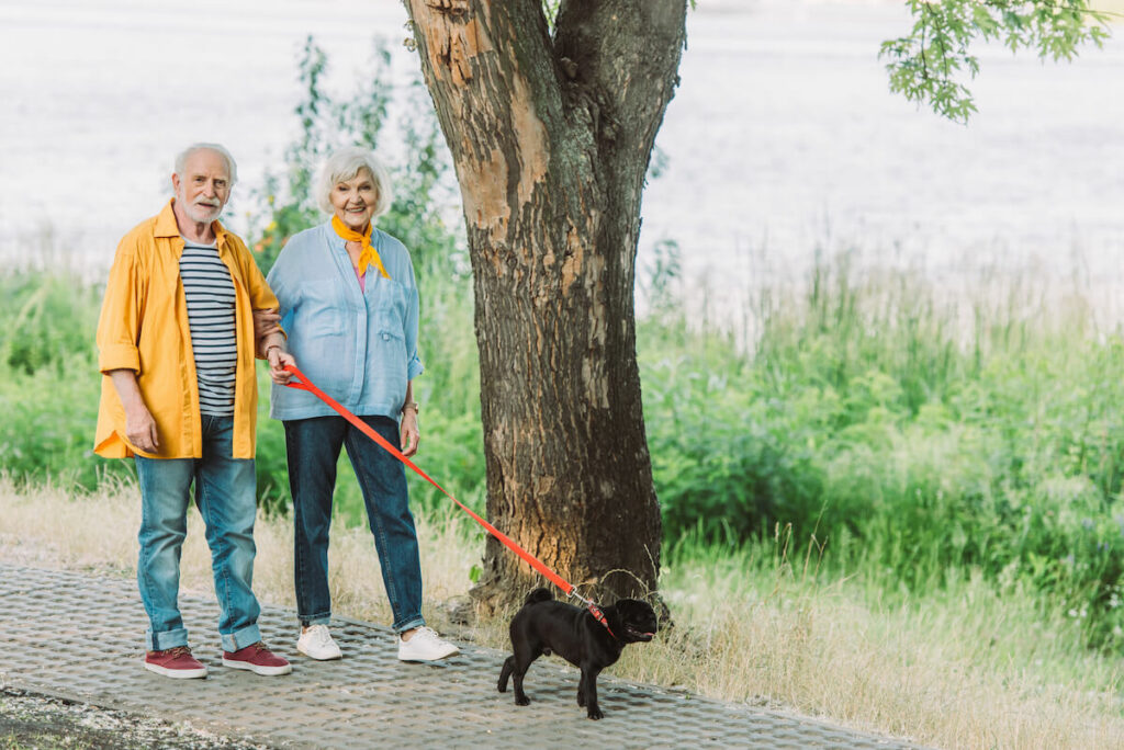 Belleview Suites at DTC | Happy senior couple walking their dog down the sidewalk
