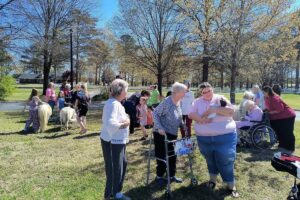 Bridgewood Gardens | Seniors at the petting zoo