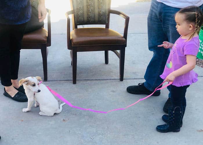 Broadway Mesa Village | Yappy Hour