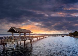 Cordata Court | Local Bellingham Boulevard Park