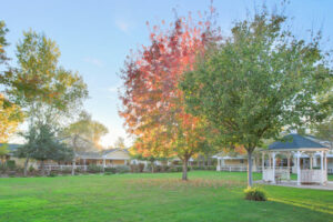 Elk Grove Park | Gazebo