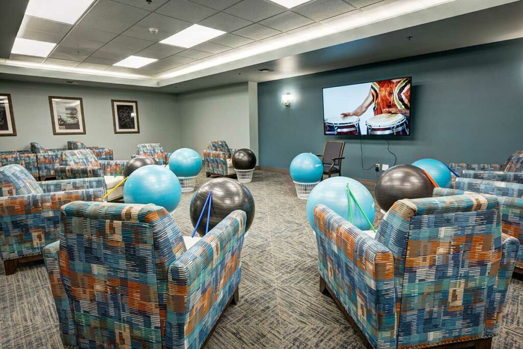 Gig Harbor Court | Exercise Balls