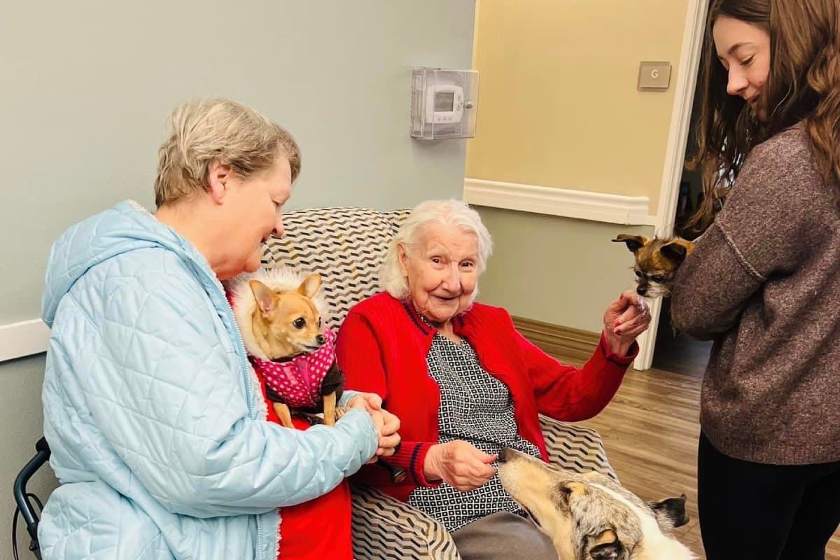 North Point Village | Pet therapy can be a good redirection technique when you have concerns about lying to a person with dementia.