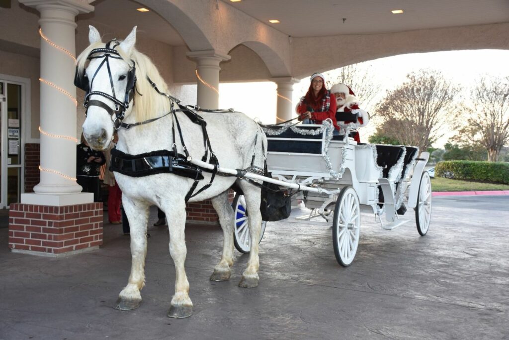 Parmer Woods at North Austin | Sleigh ride