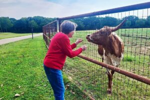 Farm Life Adventures | Pegasus Landing of Chisholm Trail