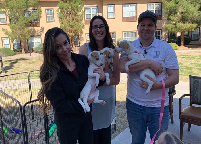 Pegasus Landing of Mesa | Yappy Hour