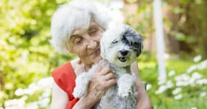 Best Dogs for Seniors in Houston | Tanglewood