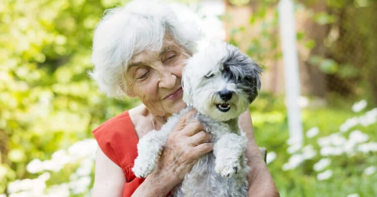 Best Dogs for Seniors in Houston | Tanglewood