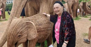 Tanglewood | Senior Living Options and Retirement: Katy, TX vs. Houston