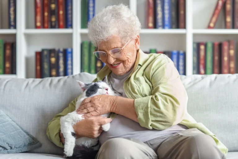 Senior woman sitting with cat on couch