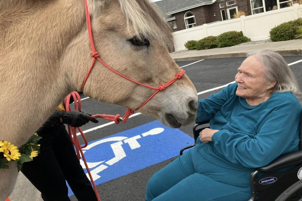 Horse Therapy for Seniors | South Hill Village