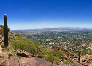 Sun City West | Local cactus overlooking grassy desert hills