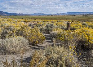 The Chateau at Gardnerville | Local Gardnerville Ranchland