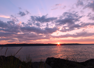 The Gardens at Marysville | Local sunset