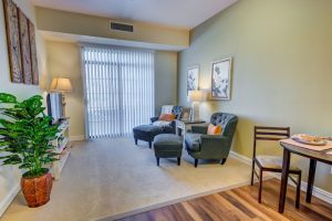 The Havens at Antelope Valley | Living Room