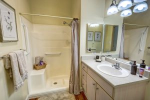 The Havens at Antelope Valley | Bathroom