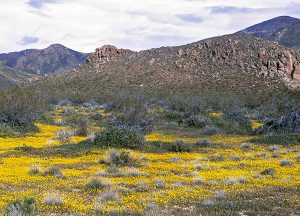 The Havens at Antelope Valley | Local mountains