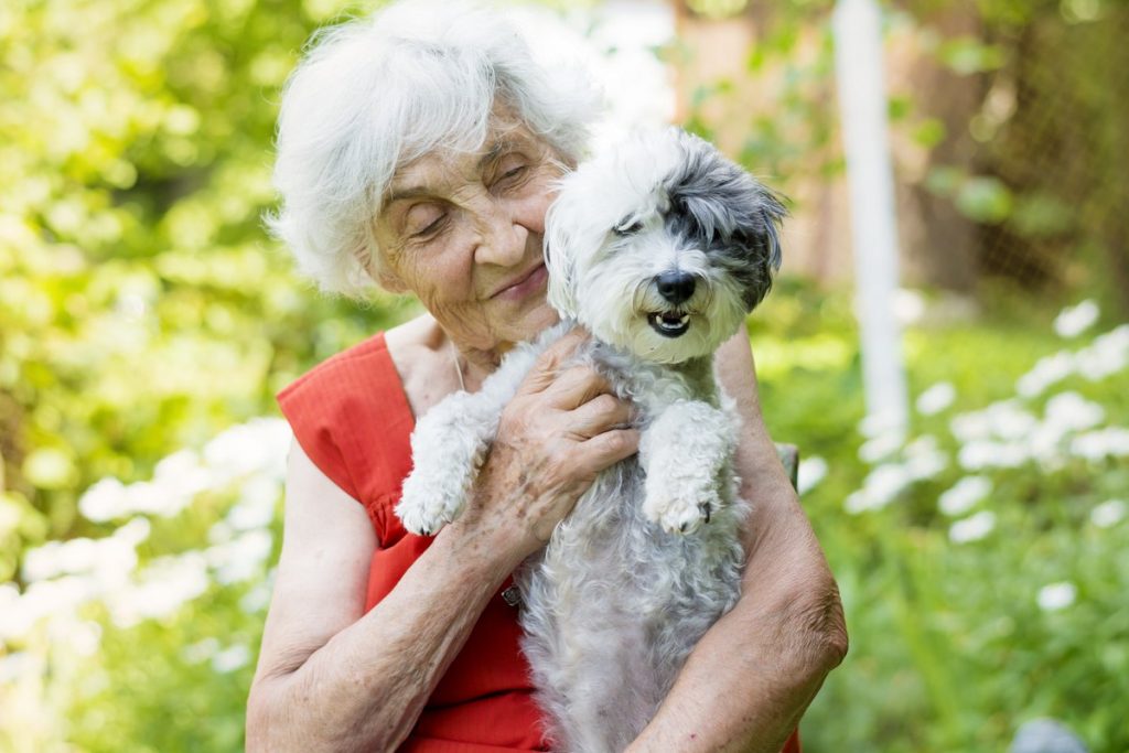 The Landing at Queensbury | Happy senior woman with small dog