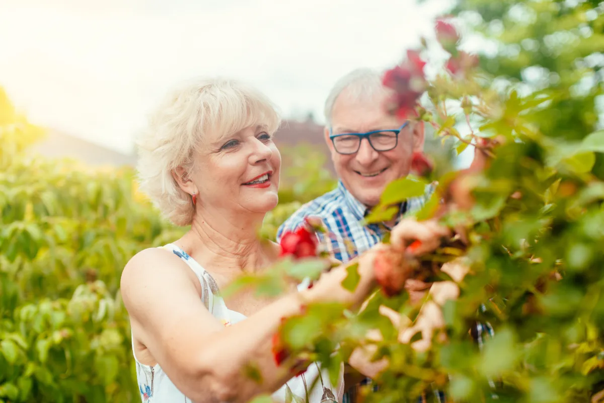 Seniors smiling in a rose garden