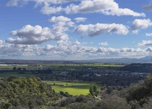 The Village at Rancho Solano | Local scenery