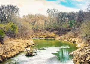 Town Village Crossing | Local park