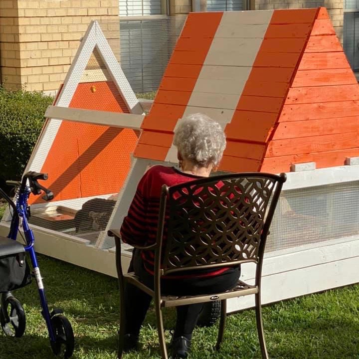 Town Village Crossing | Resident watching finished chicken coop