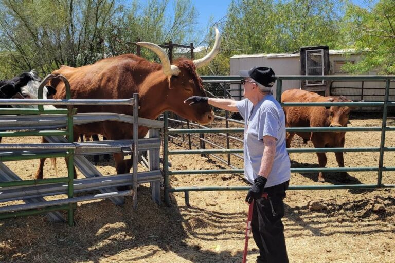 Tucson Place at Ventana Canyon | Seniors at the ranch