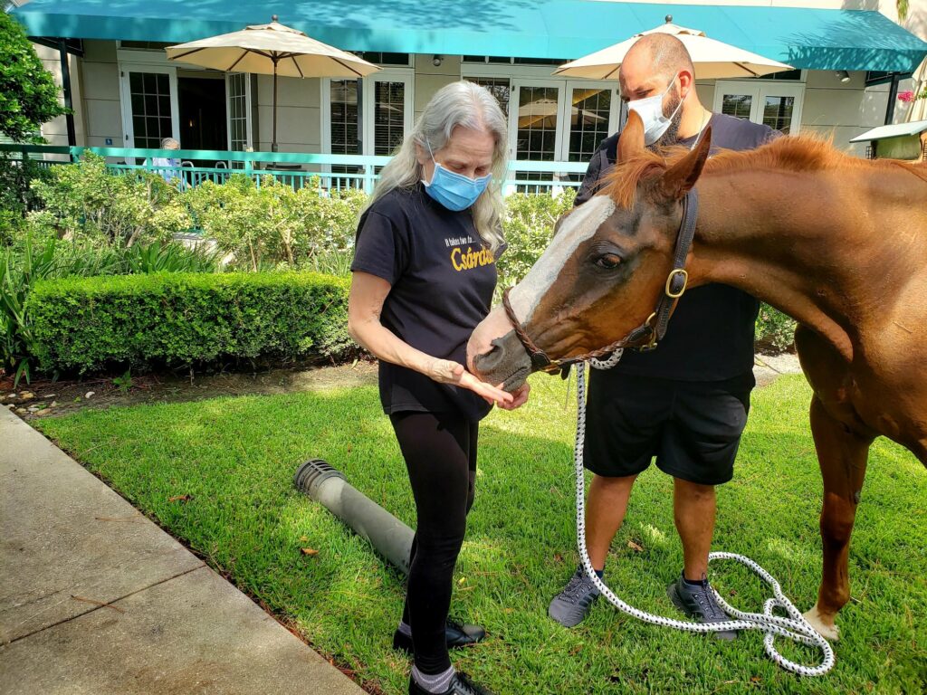 Pegasus Senior Living | Therapy horse