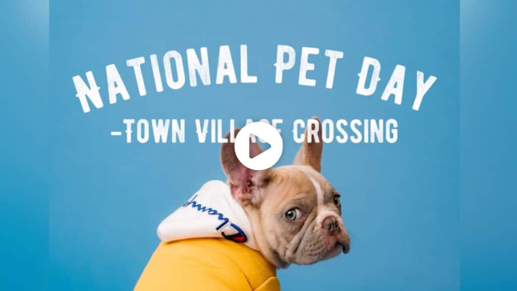 Pegasus Senior Living | National Pet Day at Town Village Crossing