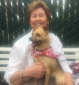 Pegasus Senior Living | Steffi the chihuahua terrier 