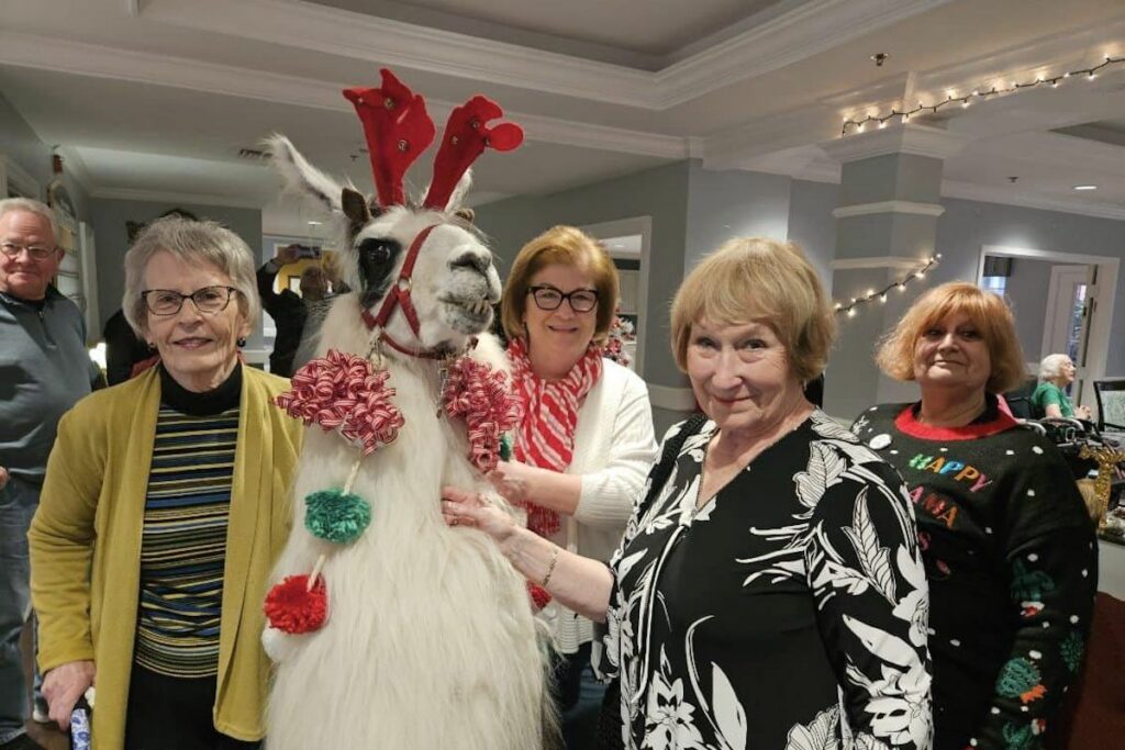 Magnolia Place of Roswell | Senior residents petting a therapy llama